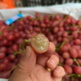 【澳洲无籽红提】脆甜爽口，鲜嫩多汁，世界四大水果之首