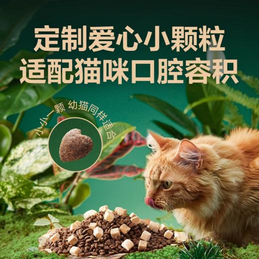 网易天成猫粮20斤实惠装1.5kg可选兔肉磷虾双拼猫粮严选官方正品 商品图2