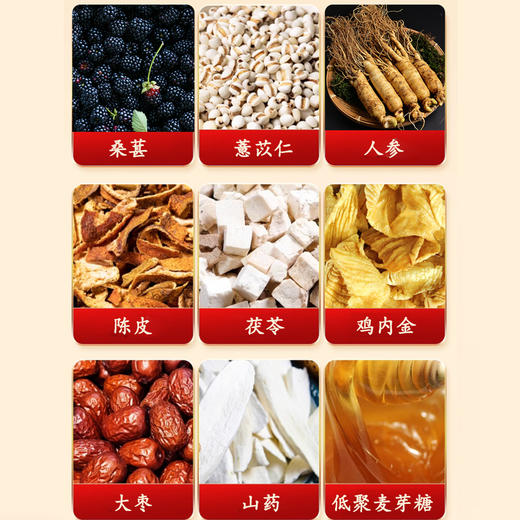 芝清室茯湿膏滋补养生芝清室家浓缩伏湿膏芝清室伏诗膏官方旗舰店 商品图3