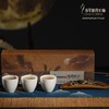 【官方正品】当年的月光白茶礼盒120g国风系列大叶白茶白毫芽茶散茶非压紧清香怡人送礼自用佳选云南白药天颐茶品出品 商品缩略图11
