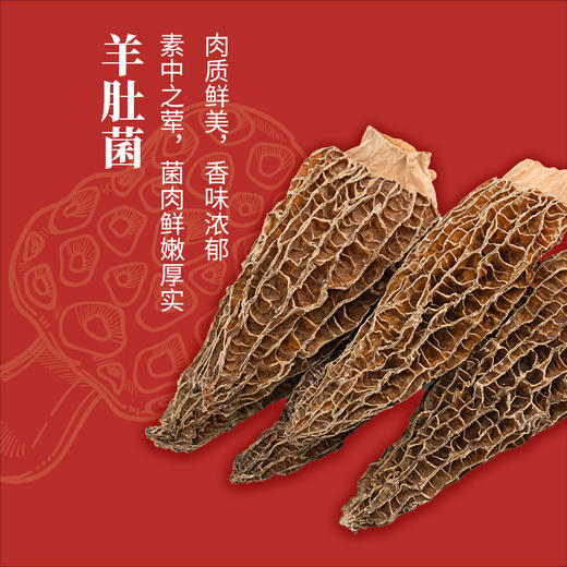 金唐 山海佳肴礼盒758g 商品图11