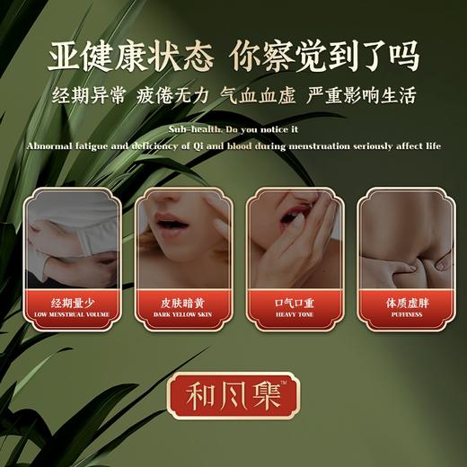 haz白玉膏和风集小粉条参胶白玉膏手工熬制滋补姨妈气血国货之光 商品图1