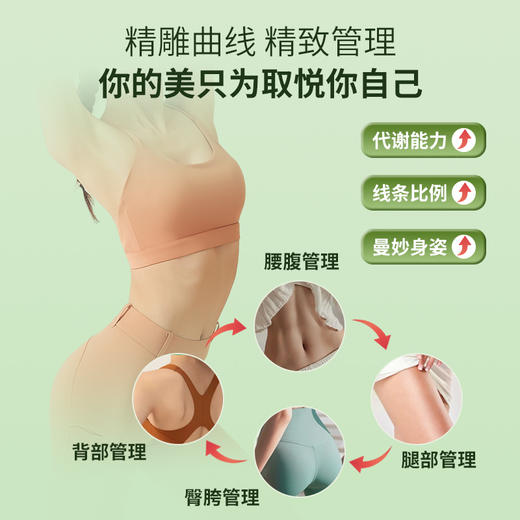 康必初白术KOBC白术康必出 官方正品 白术薏仁胶囊白术薏仁胶囊 商品图3