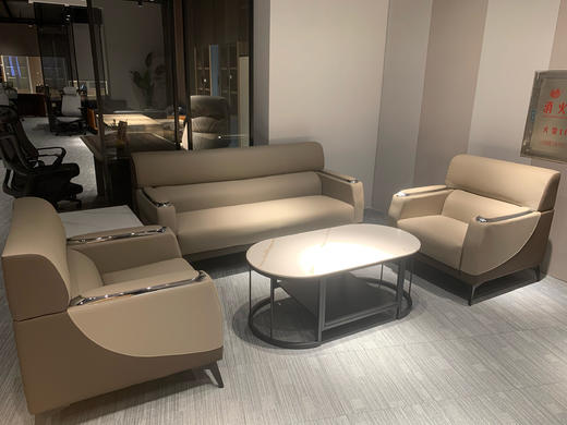 F01办公沙发113/A507-F01SF113 商品图0