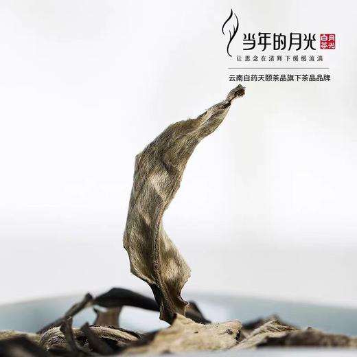 【官方正品】当年的月光月光雪片大叶白茶260g云南白药年货送礼月光美人白茶散茶礼盒装 商品图1