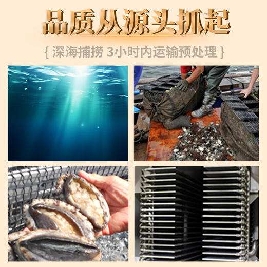 金唐干鲍鱼肉150g 商品图6