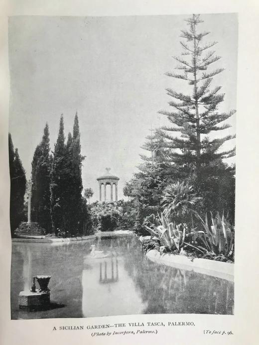 1905年 西西里岛怪事 30幅插图 漆布精装32开 商品图12