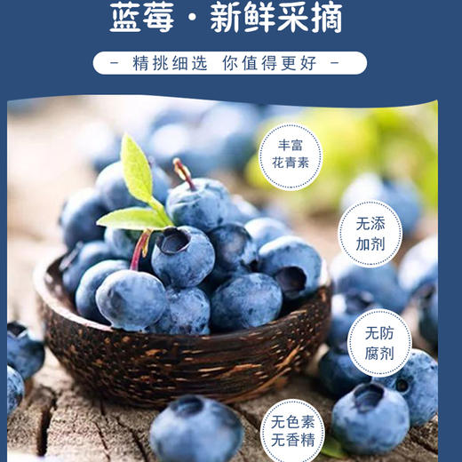 野生蓝莓果干 2袋（100g/袋） 商品图3