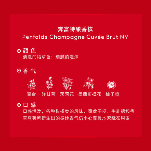 奔富特酿香槟 商品图4