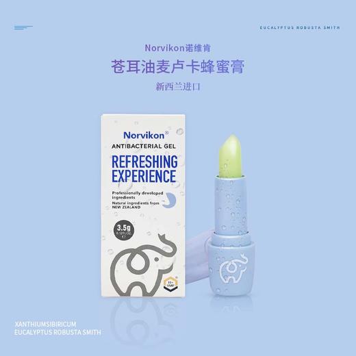 新西兰 Norvikon诺维肯 护鼻膏 苍耳油麦卢卡蜂蜜膏 （鼻膏）3.5g/支 商品图6