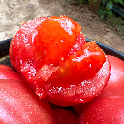 特惠活动『普罗旺斯西红柿』亦果亦蔬，果肉糯糯沙沙，饱满多汁，番茄贵族 商品图2