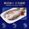 【分仓直发包邮】开背鲜鲈鱼开背鲜鲈鱼500g/条*4条装（净重350克左右）（不低于325g） 商品缩略图2