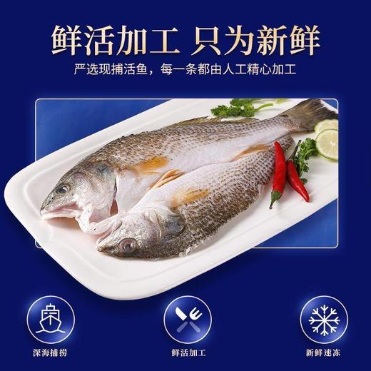 【分仓直发包邮】开背鲜鲈鱼开背鲜鲈鱼500g/条*4条装（净重350克左右）（不低于325g） 商品图2
