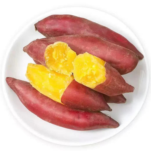 【分仓直发包邮】陕西板栗红薯3斤（5-8根）小果，单果100-200g 商品图3