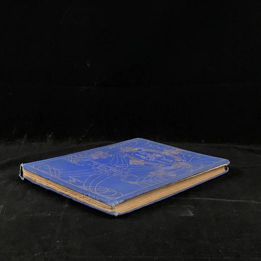 1908年 卡尔·爱华尔德自然故事集 杜拉克等8幅彩色与大量黑白文件插图 漆布精装32开 商品图1