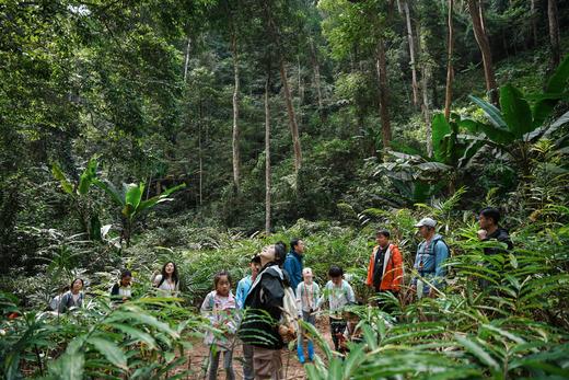 【无锡专拍】【联合发班】5星好评爆款！奢玩西双版纳之旅，比东南亚更绝的人间宝藏，过「高奢」版向往生活 商品图3