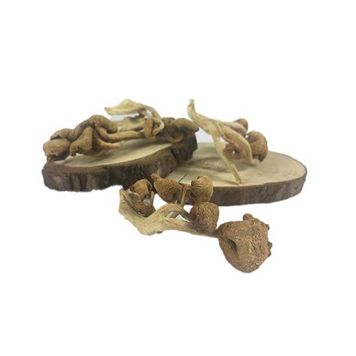 有机榆黄蘑3袋（100克/袋） 商品图2