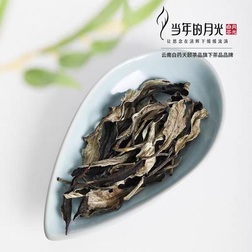 【官方正品】当年的月光月光雪片大叶白茶260g云南白药年货送礼月光美人白茶散茶礼盒装 商品图2