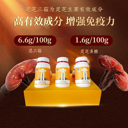 【登云谷】严选破壁灵芝孢子粉简装送礼自用单瓶装108g（60粒*6瓶）健康营养 商品图2