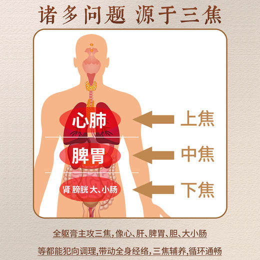 庆养元伏湿膏草本膏浓缩现熬茯湿膏滋补庆养元伏诗膏官方旗舰店 商品图2