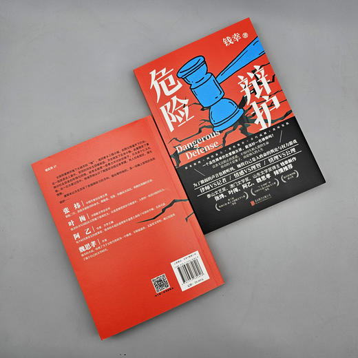 危险辩护 | 张炜、叶梅、阿乙、魏思孝的倾情推荐！职场女律师推理——为了微弱的声音也被听到，她将自己卷入致命的舆论与权力游戏。 商品图6