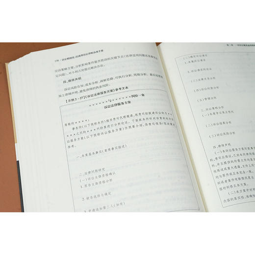 诉讼精细化：民商事诉讼律师办案手册 颜莉 赵子戈 罗维 苟银亮 著 法律出版社 商品图5