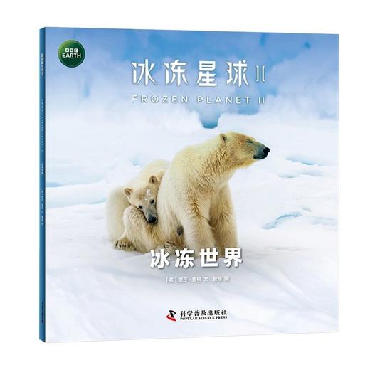 BBC系列：冰冻星球Ⅱ（全6册）根据BBC同名纪录片全新改编 附赠原纪录片片段  商品图2