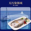 【分仓直发包邮】开背鲜鲈鱼开背鲜鲈鱼500g/条*4条装（净重350克左右）（不低于325g） 商品缩略图3