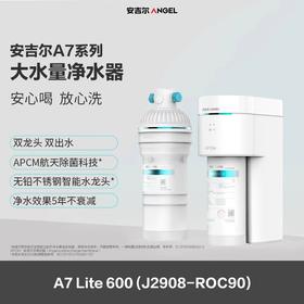 【美居】安吉尔J2908-ROC90净水器