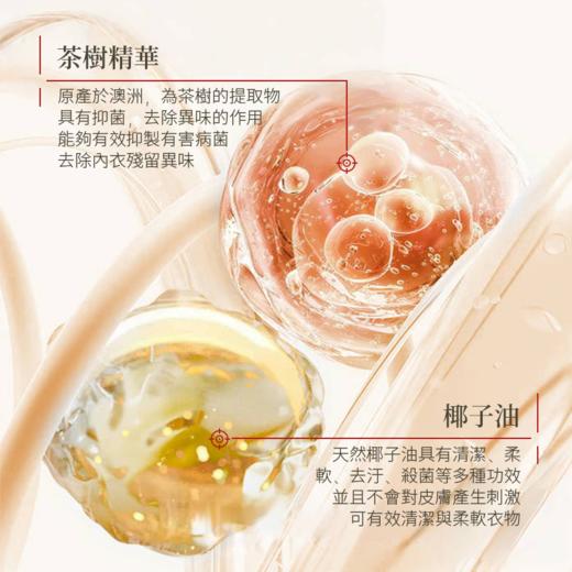 Malory二代益生菌内衣洗衣液 商品图2