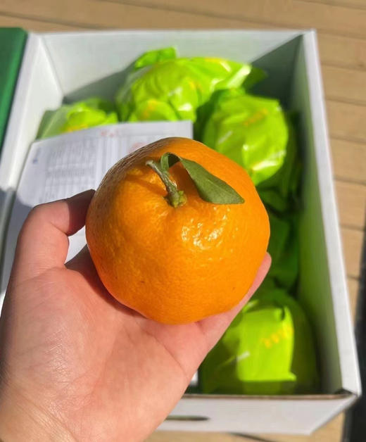 春见耙耙柑，浓郁好吃 商品图4