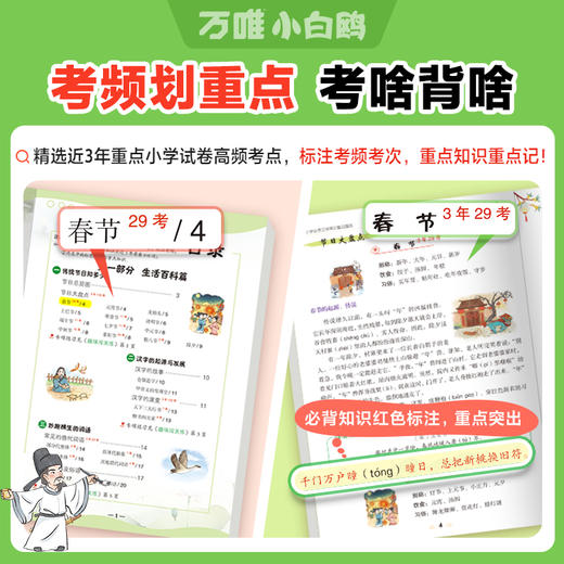 2025万唯小白鸥小学必考文学常识小学生必背语文文学文化常识积累和百科知识大全一本通正版漫画版中国古代文学常识中小学文学常识 商品图4