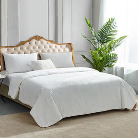 【春上新】10楼 安睡宝 逸棉点绗桑蚕丝柔丝抗菌四季被 吊牌价2499-3699元 活动价1099-1599元