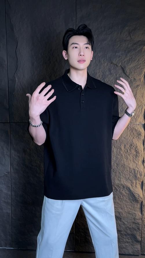 513015早春新款时尚个性纯色刺绣半纽扣翻领短袖T恤商务百搭套头上衣 商品图0