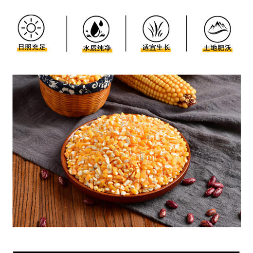有机东北玉米大碴子 2.3公斤 商品图5