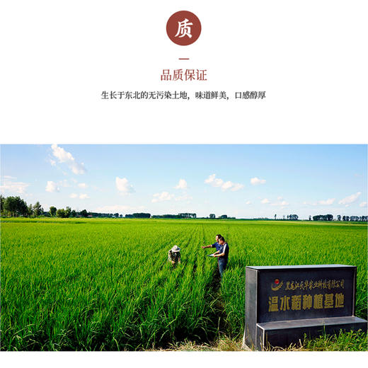 有机黑土香米（圆粒）2.5公斤 商品图6