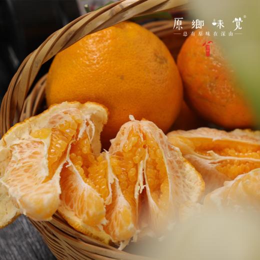 眉山生态耙耙柑（基地直发-京东包邮）｜5斤/箱，8斤/箱，来自四川眉山，生产者：黄琼【合作生产，公平贸易】 商品图7