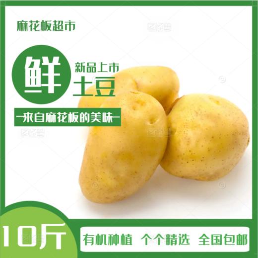 麻花板土豆 黄皮土豆 10斤装 商品图0