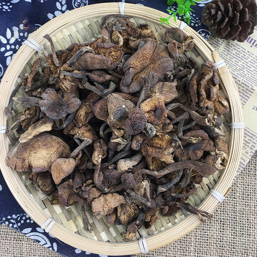 有机榛蘑 250g 商品图7