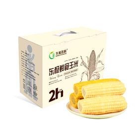 东极荟秾 东极鲜食玉米 1850g