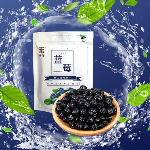 野生蓝莓果干 2袋（100g/袋） 商品图0