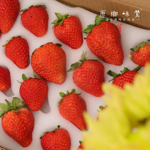 有机草莓（基地直发-顺丰包邮）| 2斤大小混装，来自张家口，生产者：李鹏飞，【合作生产，公平贸易】 商品图8