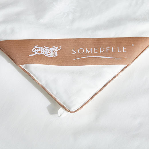 【春上新】10楼 安睡宝 逸棉点绗桑蚕丝柔丝抗菌四季被 吊牌价2499-3699元 活动价1099-1599元 商品图2