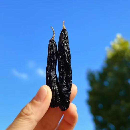 【蜜饯精选】蓝宝石美人指葡萄干 新疆吐鲁番的“蓝宝石” 配料只有葡萄干 花青素是普通葡萄10倍 饱满大颗 果肉厚实 商品图2