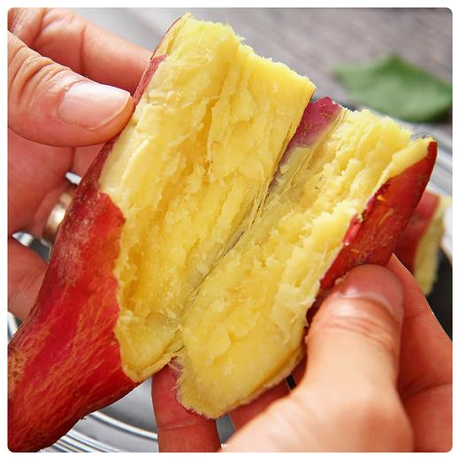 【分仓直发包邮】陕西板栗红薯3斤（5-8根）小果，单果100-200g 商品图2