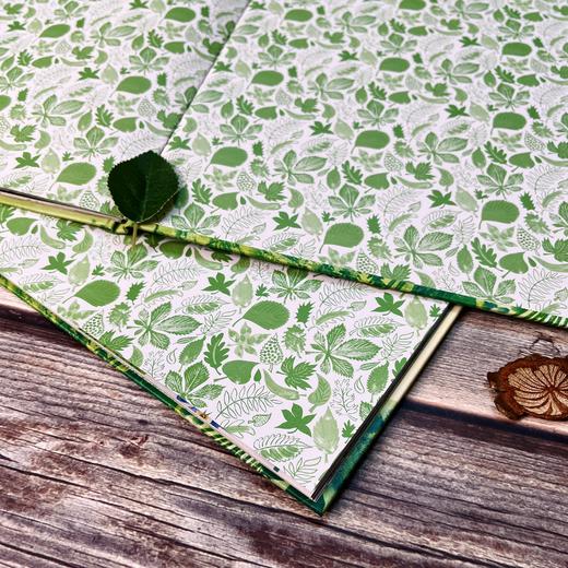 绿色生命：地球上的植物故事|绿色地球图书奖得主作品；从一棵树的光合作用追溯到数十亿年的植物演化史 商品图8