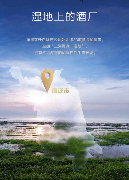 52°洋河梦6+ 商品图7