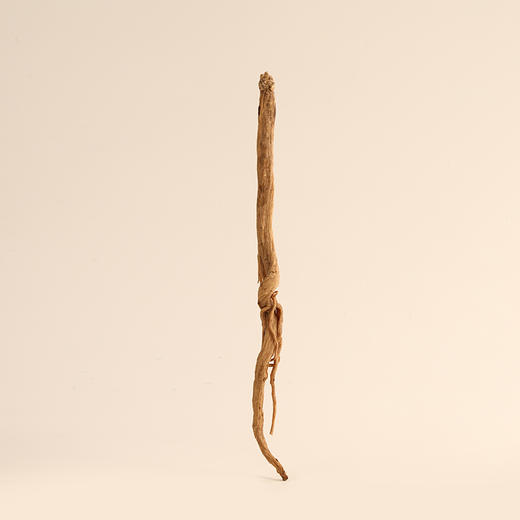 正安 甘肃岷县党参 三年种植秋季采挖优质原材 手选鲜切段式 泡发大豆香味足 250g/罐 商品图5