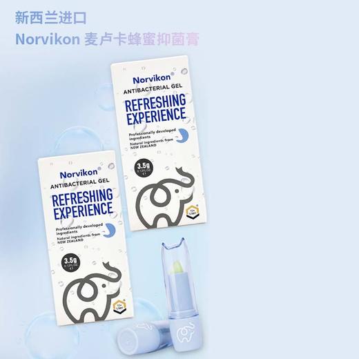 新西兰 Norvikon诺维肯 护鼻膏 苍耳油麦卢卡蜂蜜膏 （鼻膏）3.5g/支 商品图5