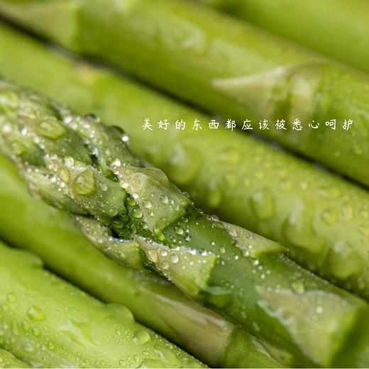 头茬绿芦笋 | 源自“芦笋之乡”曹县 地理标志农产品 只取25cm的鲜嫩部分 无需去老根 脆嫩鲜甜 商品图3